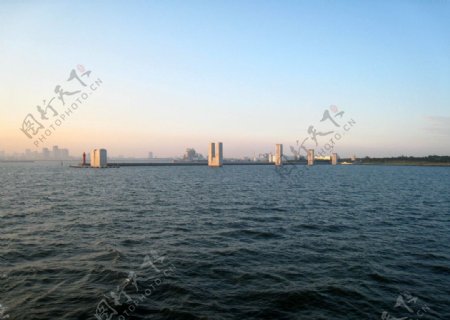 東京港的清晨图片