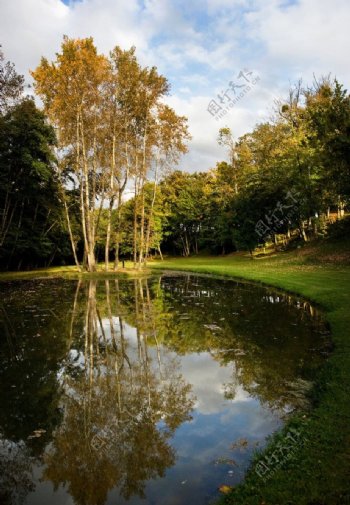 自然风景池塘蓝天树林图片