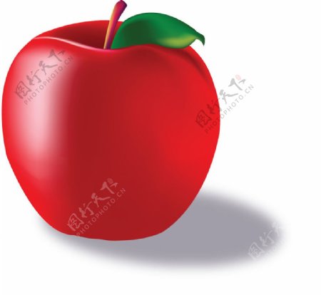 香甜可口的红苹果图片