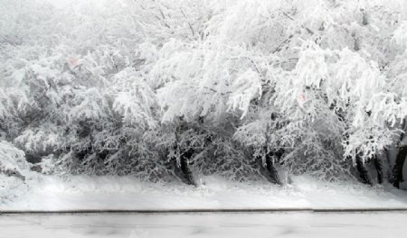 下雪白色图片