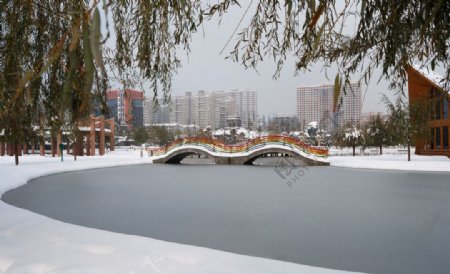 雪中彩虹桥图片