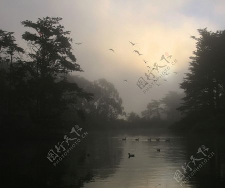 湖边晨雾图片