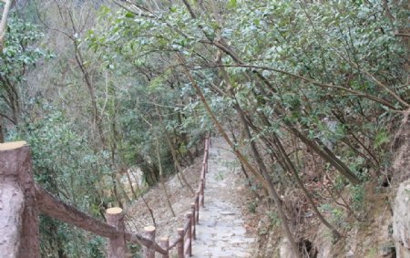 划岩山风景图片