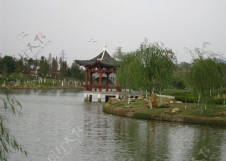 吉安苏河风光图片