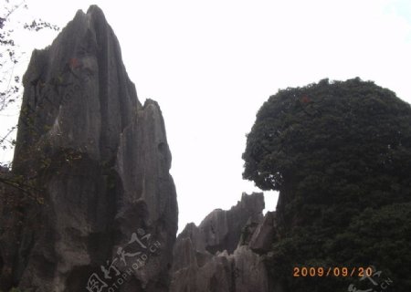 云南石林局部图片