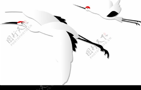 仙鹤飞翔姿态矢量图图片