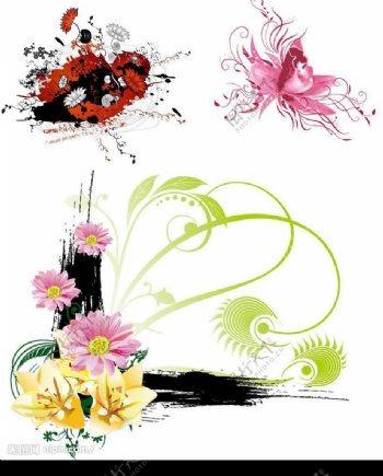 3款不同的花朵矢量素材图片