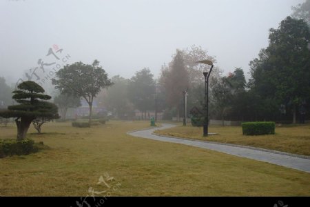 公园晨雾图片