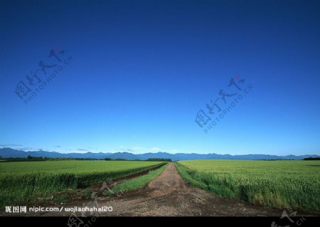 道路风景图片