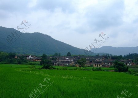 桂林的房屋和草地图片