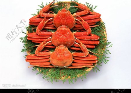 螃蟹大餐图片