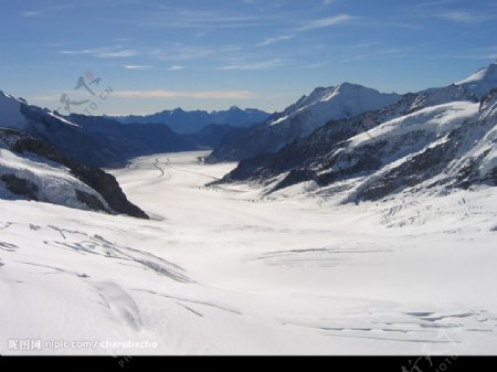 阿莱奇冰川图片