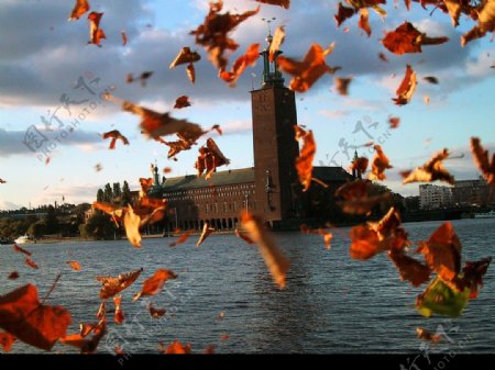 瑞典斯德哥尔摩市政厅秋景图片