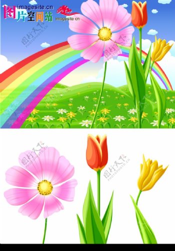彩虹花朵图片