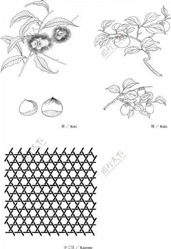 日本线描植物花卉矢量素材图片