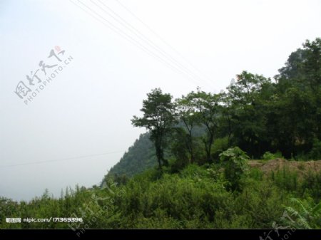 风景图片