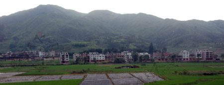 村庄全景图片