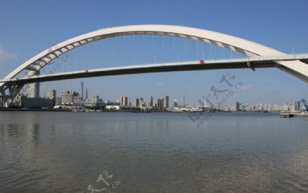 大型拱桥图片