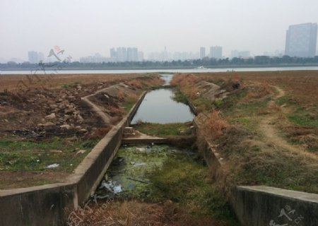 湘江对岸图片