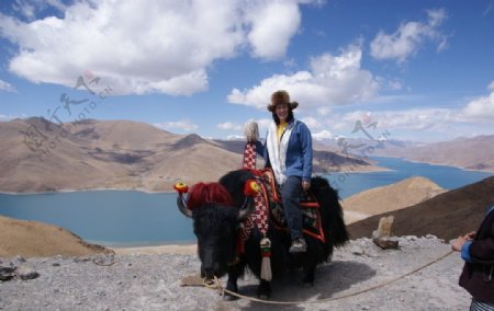 在青藏高原骑着牦牛的女性图片