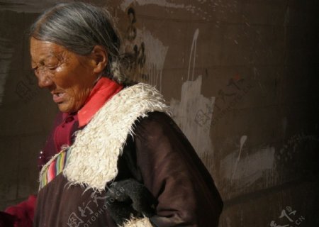 藏族老人图片