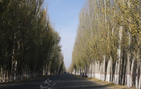新疆马路图片