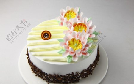 生日蛋糕鱼尾菊图片