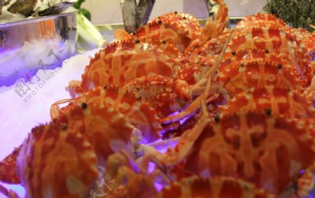 自助餐海鲜圆头小蟹图片