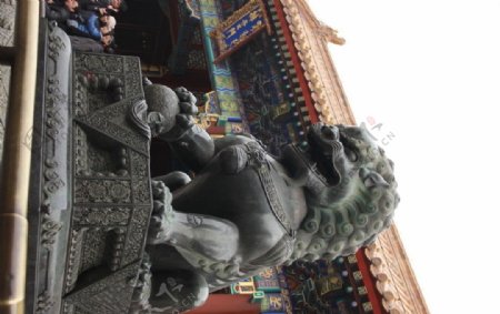 北京故宫铜雕狮子图片