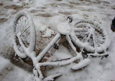 披着雪的单车图片