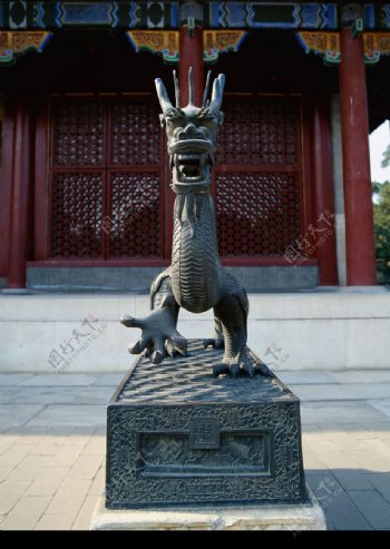 中国龙与兽图片