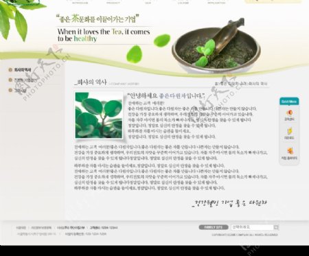 茶道交流网站版面图片