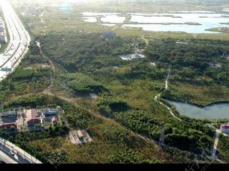 城市森林大慶图片