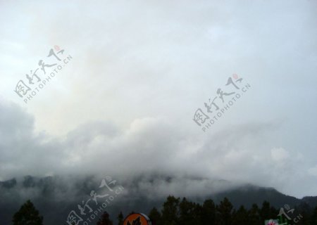 阿里山云雾图片