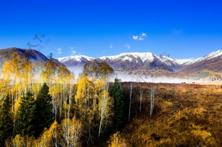 北疆秋季自然风光图片