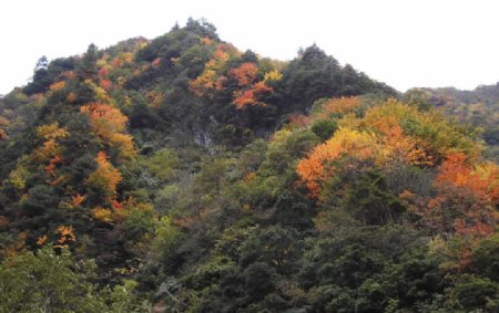 山峦秋景图片