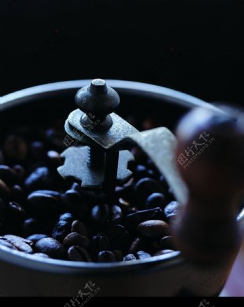 咖啡豆粒图片