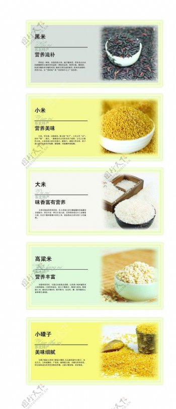 杂粮米粮海报图片