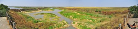 鄱阳湖湿地图片