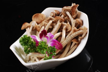 鲜茶树菇图片