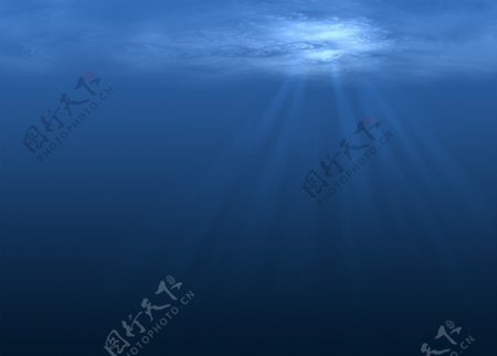 深海图片