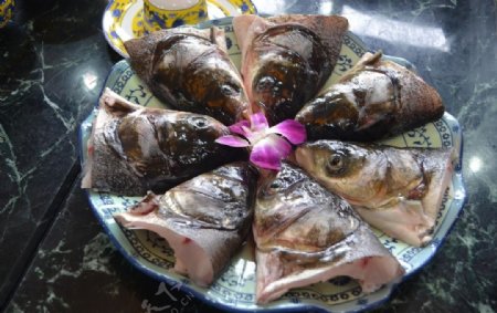火锅鱼头图片