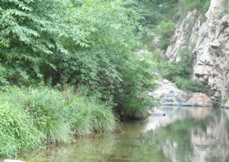 山涧泉水自然景观图片