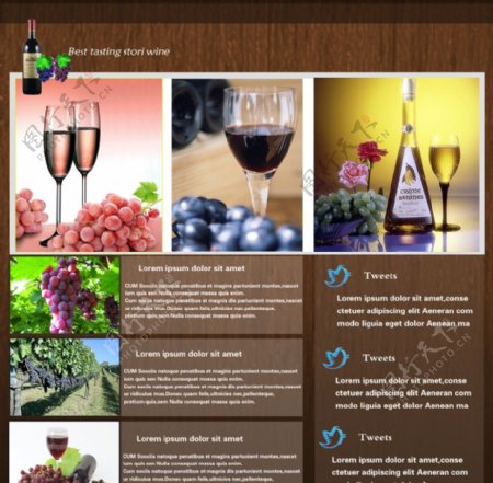 葡萄酒网页图片