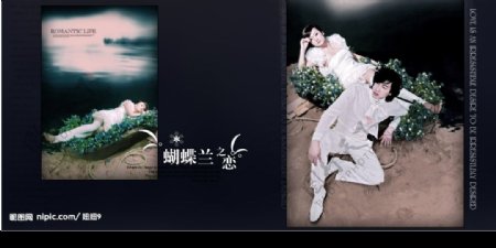 蝴蝶兰之恋婚庆模板系列08图片