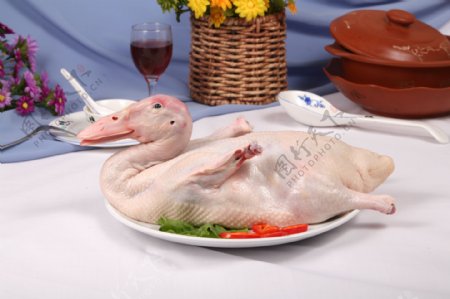 鸭肉美食原料鸭白条鸭图片