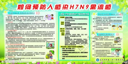 H7N9禽流感知识展板图片