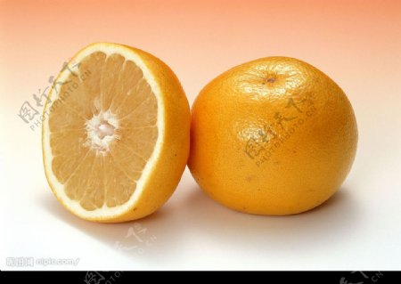柑橘类水果素材图片19张