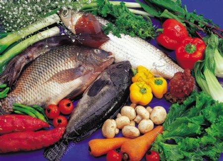 鱼类和蔬菜高清摄影图片