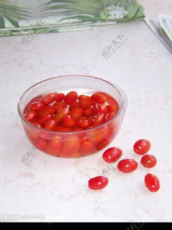 小番茄2图片